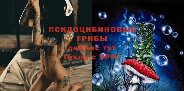 spice Алексеевка