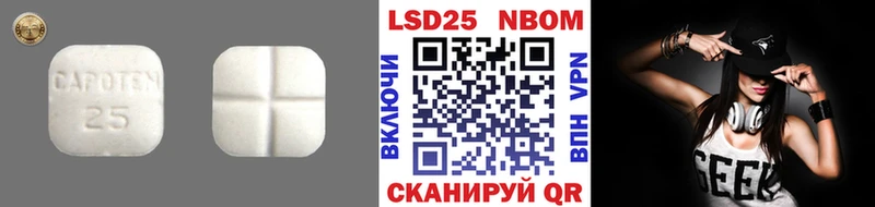 MEGA как войти  Бирюсинск  LSD-25 экстази кислота  как найти закладки 